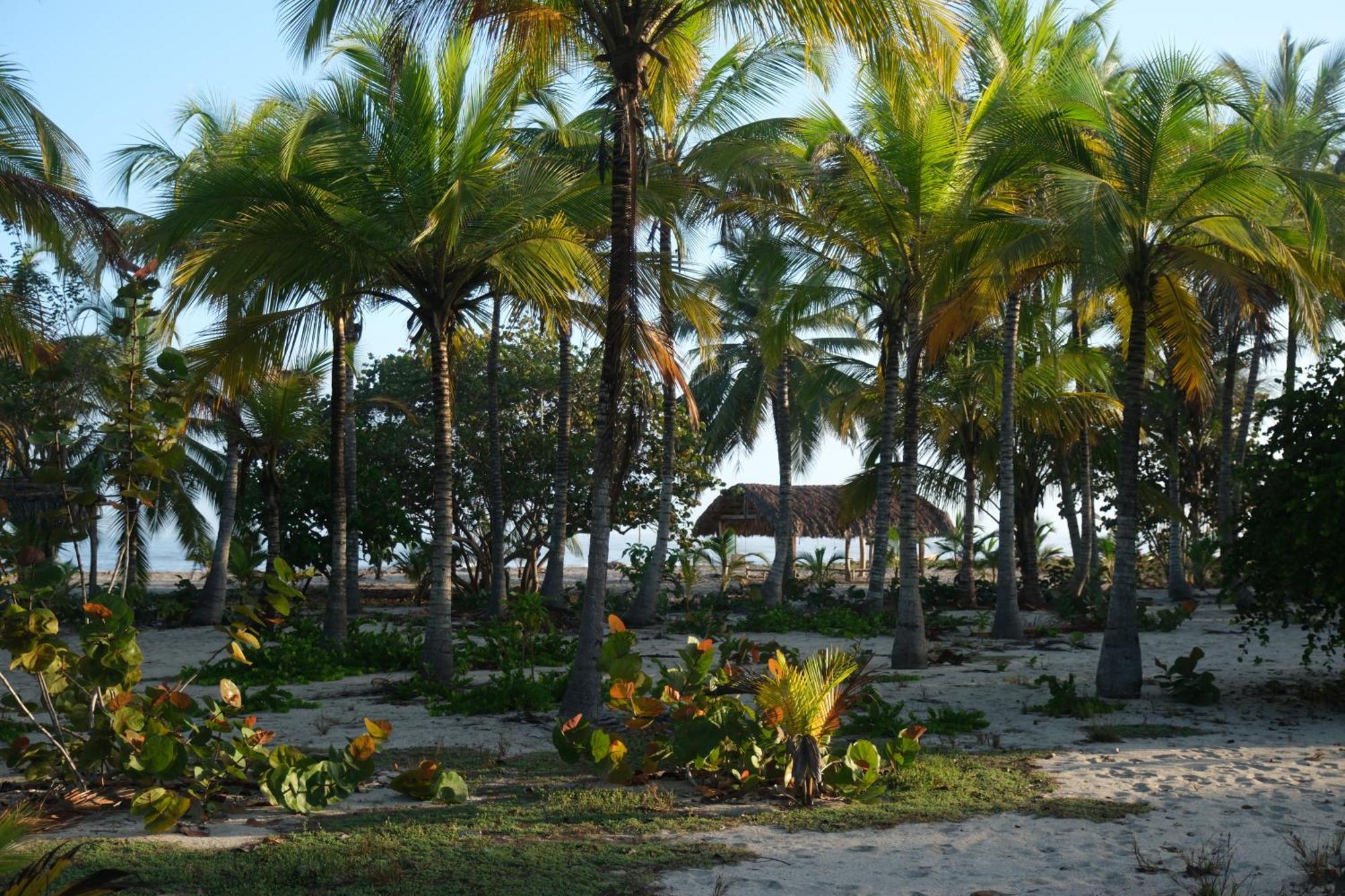 Hotel Playa Bonita Tayrona Buritaca Exterior foto
